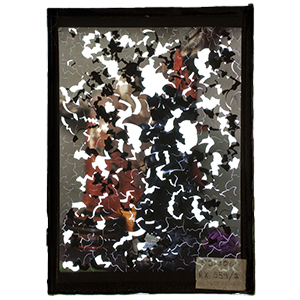 AIC_1952-306_T